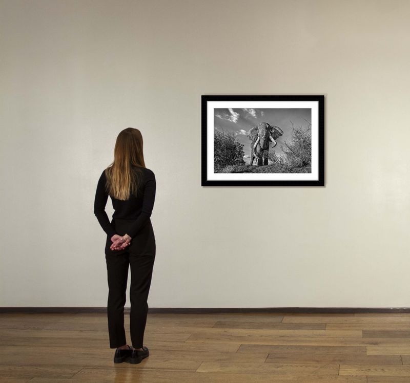 24 x 36 in., edition of 15